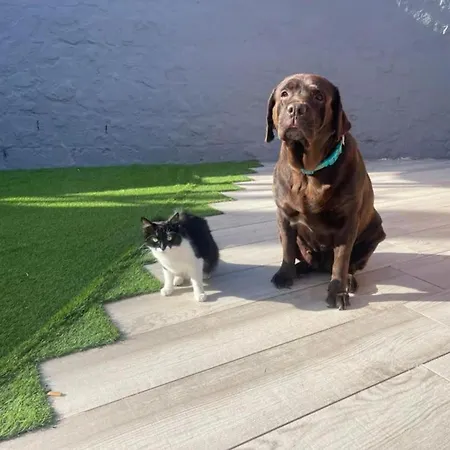 Oaxaca - Casa Iguana