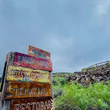 アパート Oaxaca - Casa Iguana *